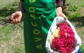 Le recenti piogge distruggono i fiori del Giardino di Lu ma sa ramadura è salva grazie ai petali donati