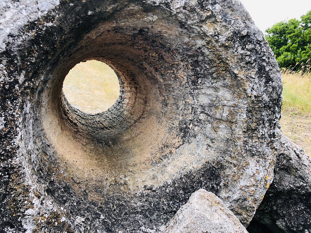 La foresta pietrificata di Martis