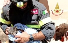 Lieto fine per il gattino intrappolato in un tubo a Monteponi: i Vigili del Fuoco lo salvano dopo ore di lavoro