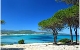 Quiz per sardi doc: sapete dove si trovano le uniche pinete costiere non artificiali della Sardegna?