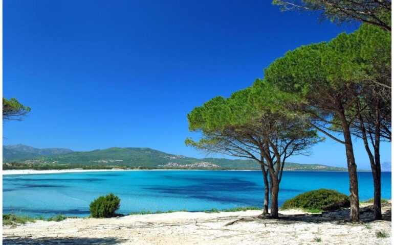 pineta