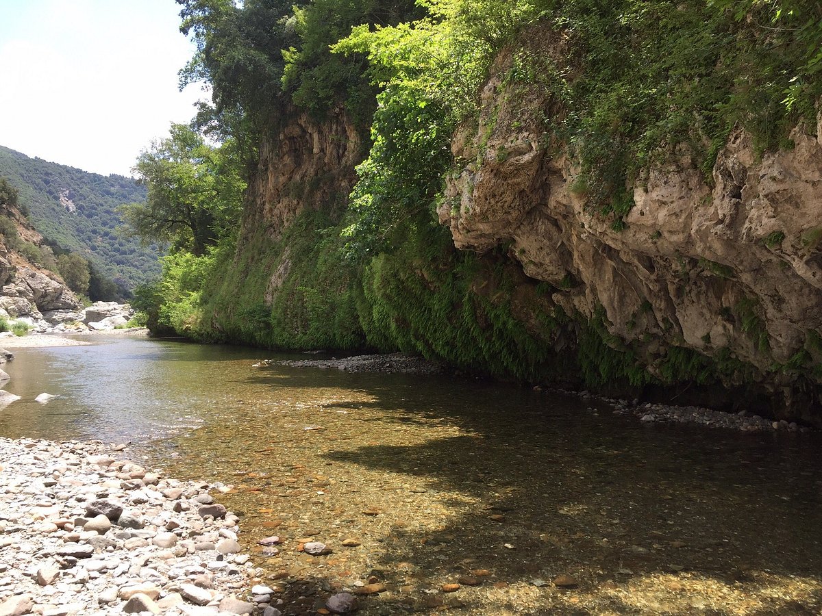 Sa Stiddiosa
