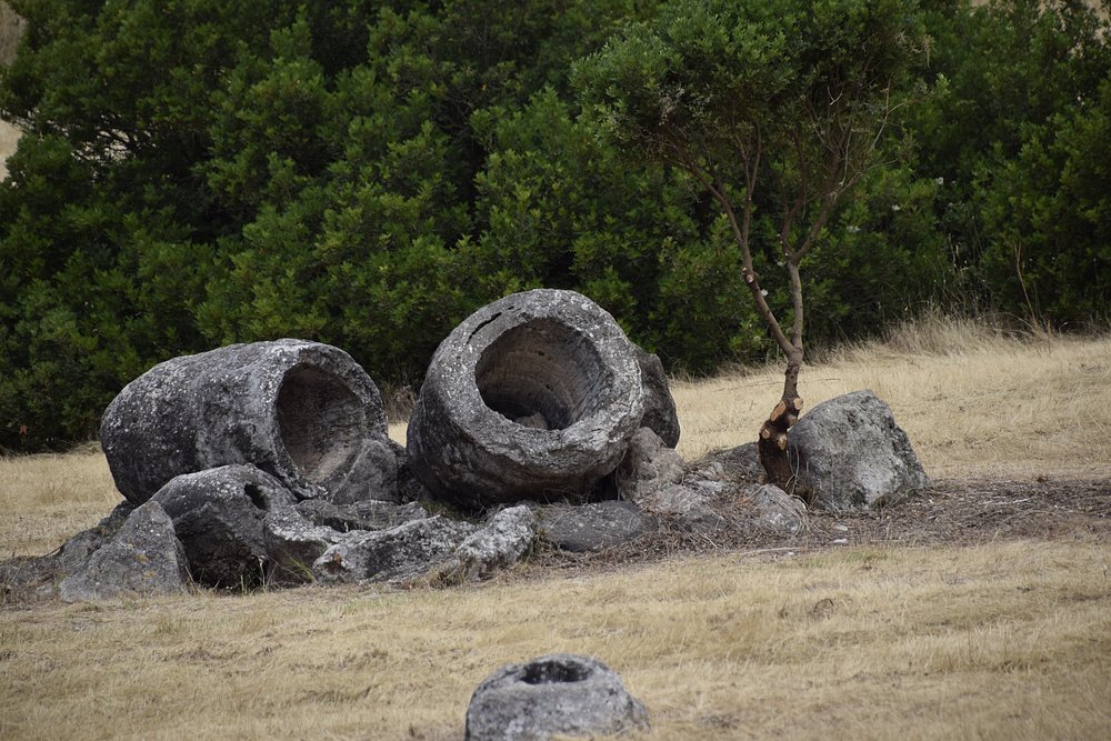 La foresta pietrificata di Martis
