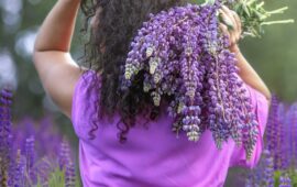 In Sardegna esiste un’unica piantagione di lavanda: sapete dove si trova?