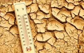 caldo
