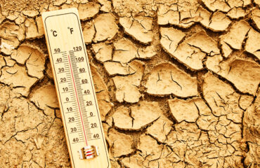 caldo