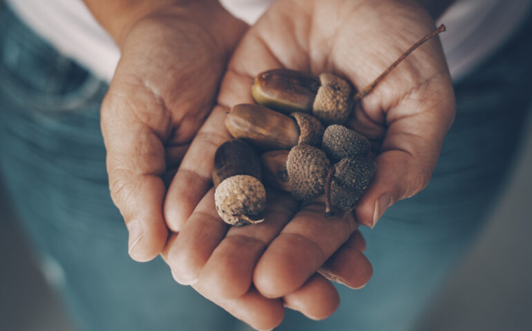 Quando non c’era il grano, si mangiava Su Pan’Ispeli: conoscete il pane antico della Sardegna?