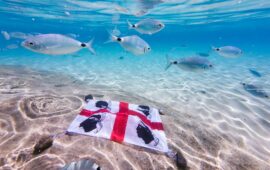 La Sardegna in uno scatto: la bandiera dei Quattro Mori tra i pesci e l’acqua cristallina del nostro mare