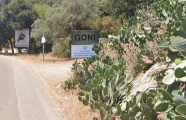 goni