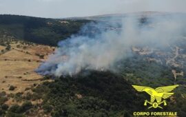 L’Isola ancora nella morsa del fuoco: 19 gli incendi divampati solo oggi