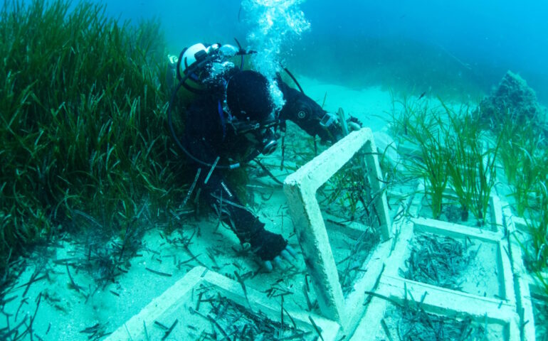 Tyrrhenian Link: tutela del mare e innovazione tecnologica vanno di pari passo
