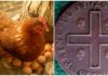 La gallina e il reale