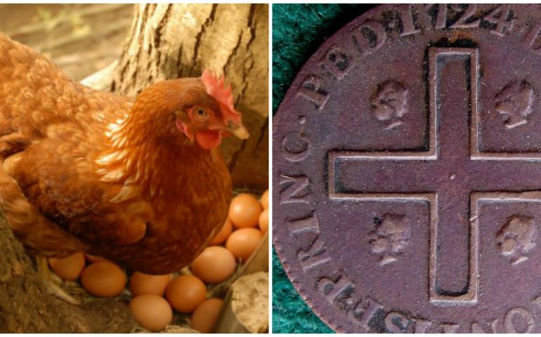 La gallina e il reale