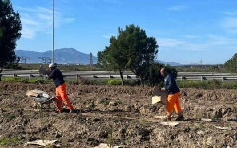 Lavori all'aperto (Foto archivio Vistanet)