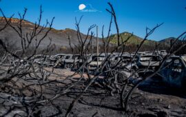 Le immagini dell’inferno: il racconto fotografico di Cristian Mascia dall’incubo di Punta Molentis
