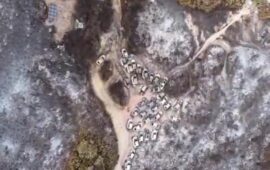 Tra la cenere e il silenzio: la Sardegna piange il suo gioiello distrutto. Il VIDEO che mostra Punta Molentis dopo il rogo devastante