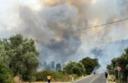Incendi in Sardegna, roghi devastanti nel sud dell’Isola: evacuazioni, agrumeti distrutti e linee ferroviarie interrotte