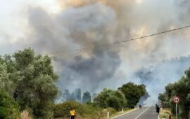Incendi in Sardegna, roghi devastanti nel sud dell’Isola: evacuazioni, agrumeti distrutti e linee ferroviarie interrotte