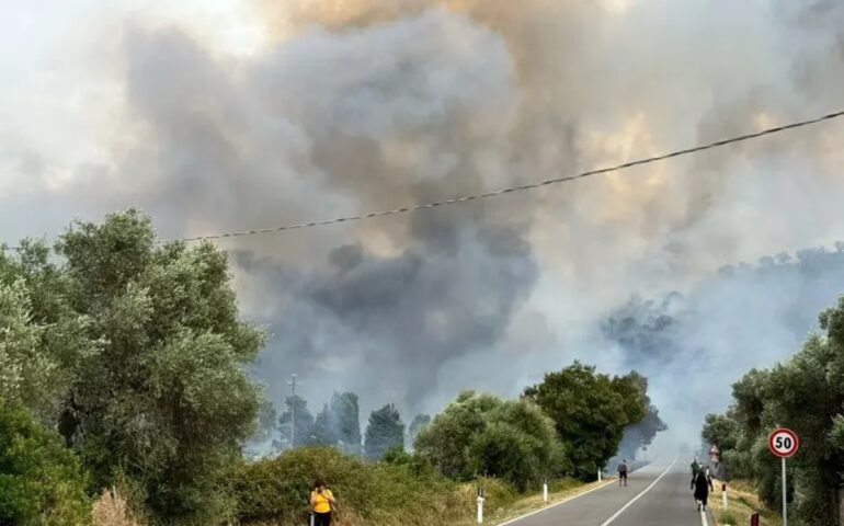 Incendi (Foto Ansa)