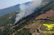 Venti incendi in Sardegna, le fiamme devastano Sedilo: in cenere almeno 100 ettari di campi