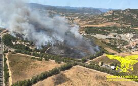 Sardegna distrutta dal fuoco: divampati 30 roghi in una sola giornata, 11 richieste di interventi aerei