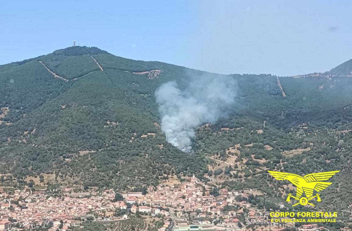 incendio in sardegna