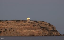 luna del cervo sinis