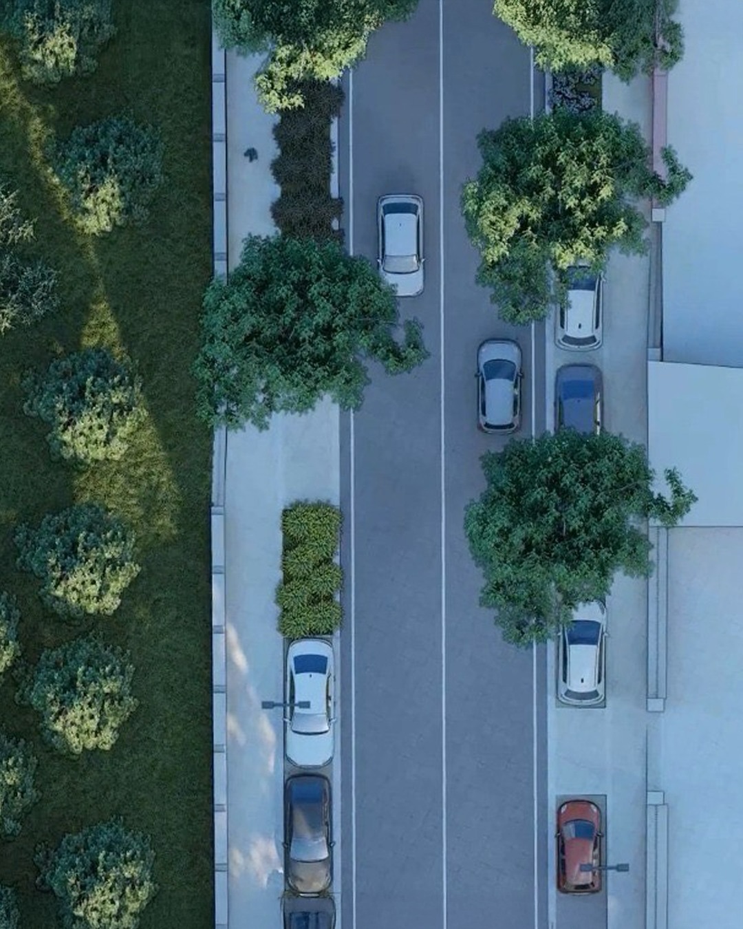 rendering viale merello