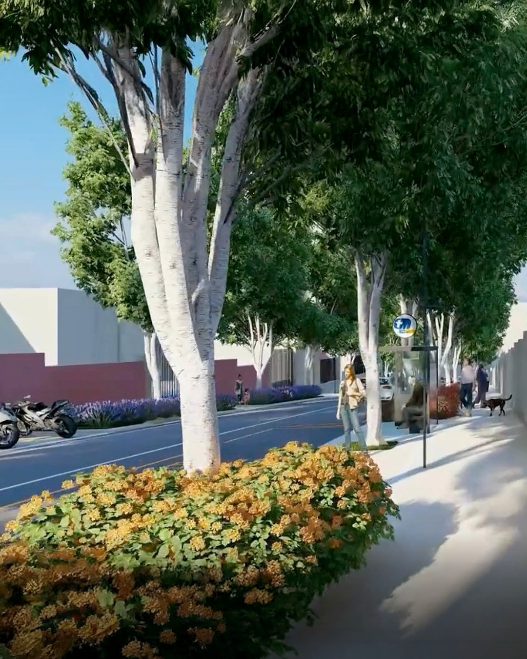 rendering viale merello