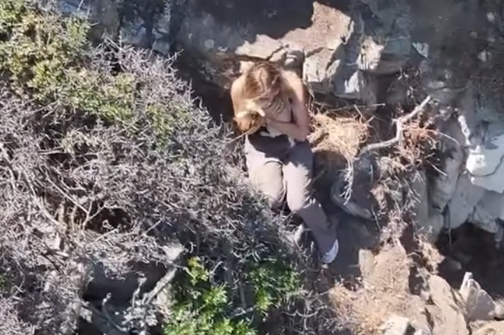 Cora, la storia della cagnolina ritrovata dopo 5 giorni di paura a Cala Romantica