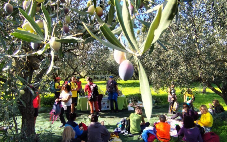 Il territorio come risorsa più preziosa: la sfida di Agricura e il potenziale nascosto del sud Sardegna