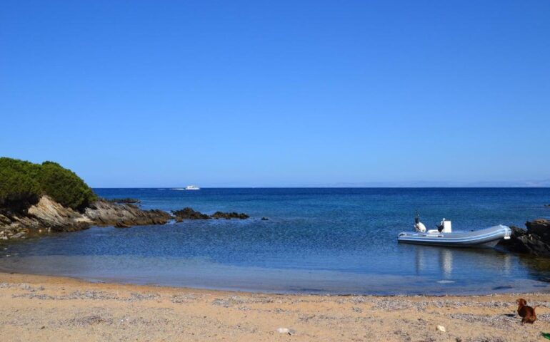 cala lupo a stintino