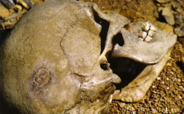 Un cranio nuragico (Foto Archeologia Dorgali)