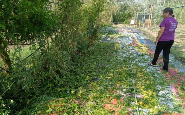 giardino di lu distrutto dalla grandine