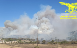 incendio a oliena