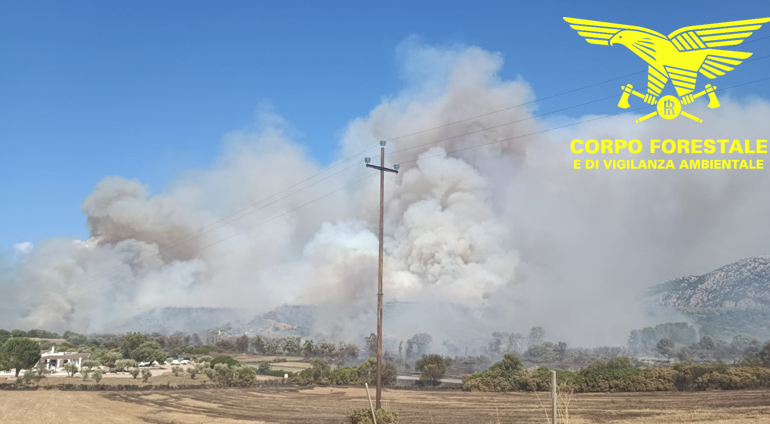 incendio a oliena
