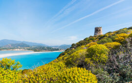 porto giunco