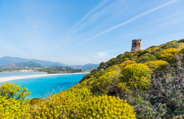 porto giunco