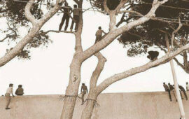 "Portoghesi" all'Amsicora