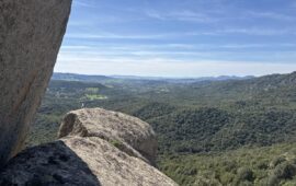 La foresta di San Pantaleo