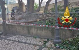 Attimi di paura a Cagliari, ramo si stacca nei giardini di viale Regina Elena: intervento dei Vigili del Fuoco