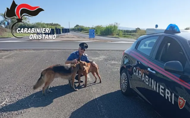 I cani salvati a Oristano