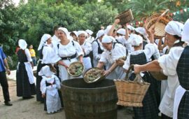 festival pro loco sestu