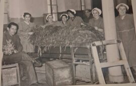 manifattura tabacchi a Cagliari