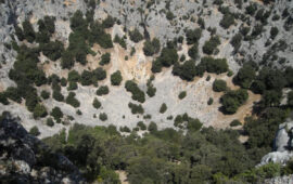 Su Suercone (foto Wikimapia)