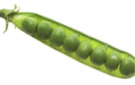 Piselli (Foto Wikipedia)