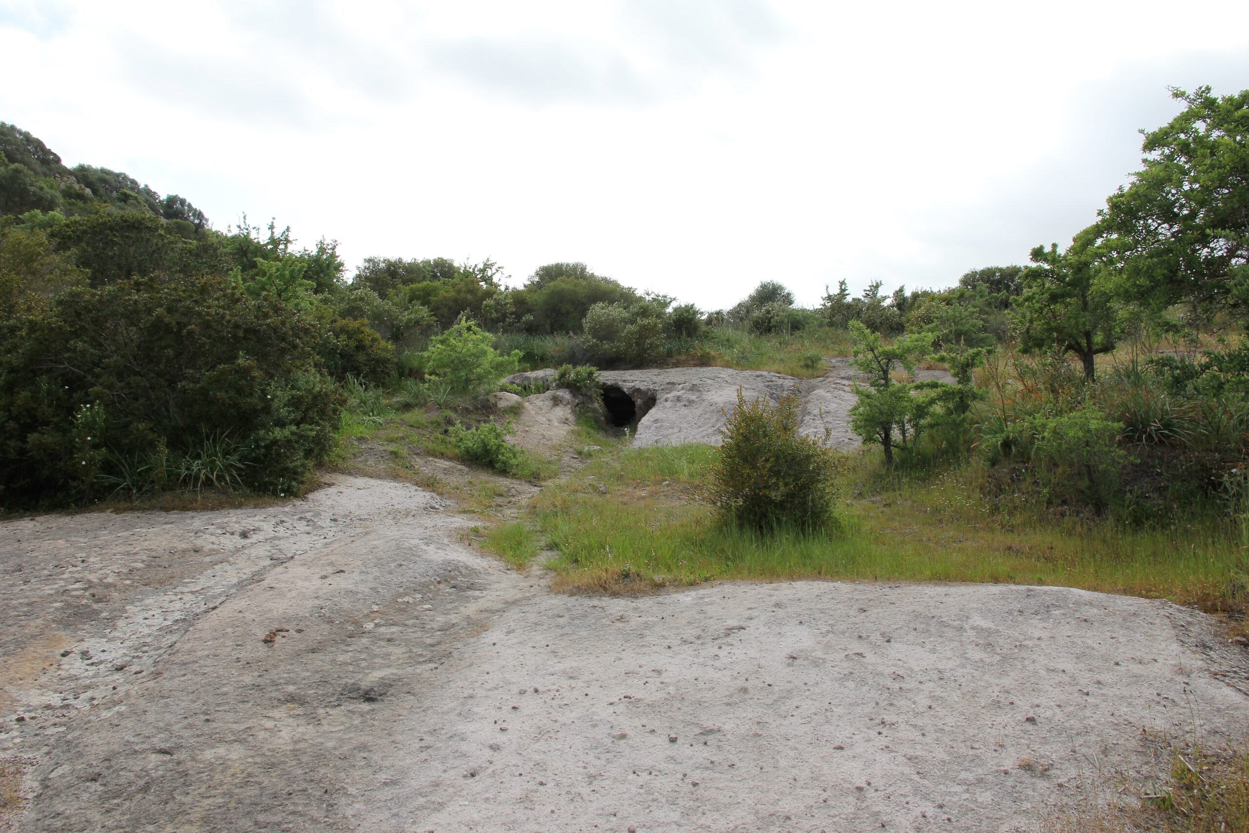 Domus de janas di Monte Siseri a Putifigari