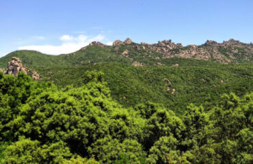 La Foresta dei Settefratelli