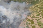 Sardegna ancora in fiamme: 22 gli incendi divampati oggi