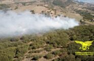 Altra domenica di fuoco in Sardegna, 28 gli incendi divampati: alcuni talmente pericolosi da richiedere l’intervento degli elicotteri